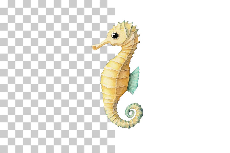 Colorful Seahorse Clipart Bundle - CraftNest - Digital Crafting and Art