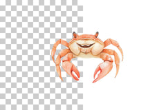 Nursery Cute Crab Clipart Bundle - CraftNest - Digital Crafting and Art