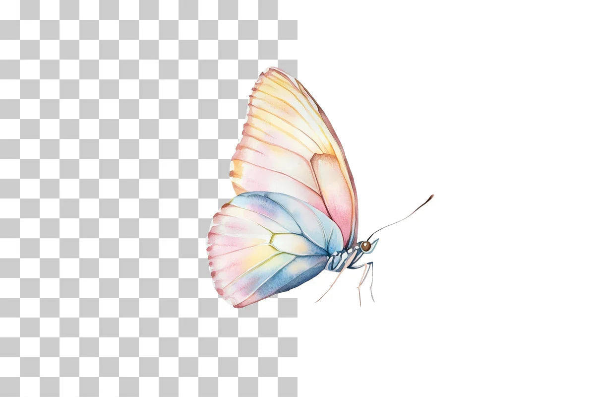 Colorful Butterfly Clipart Bundle - CraftNest - Digital Crafting and Art