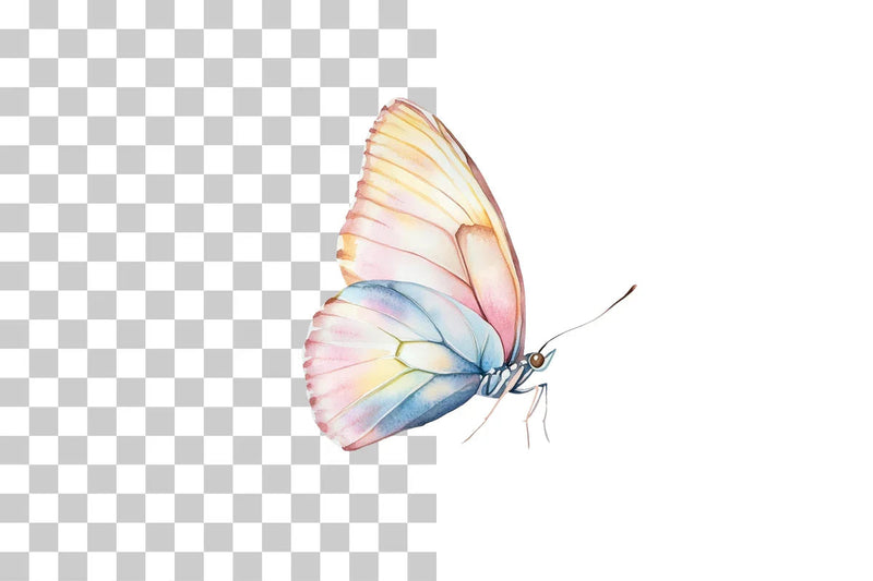 Colorful Butterfly Clipart Bundle - CraftNest - Digital Crafting and Art