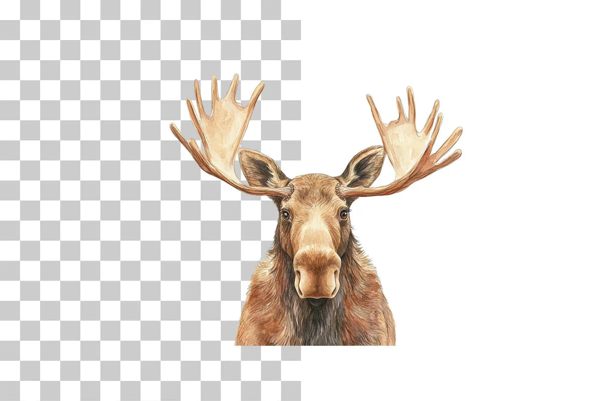 Funny Cartoon Moose Clipart Bundle - CraftNest - Digital Crafting and Art