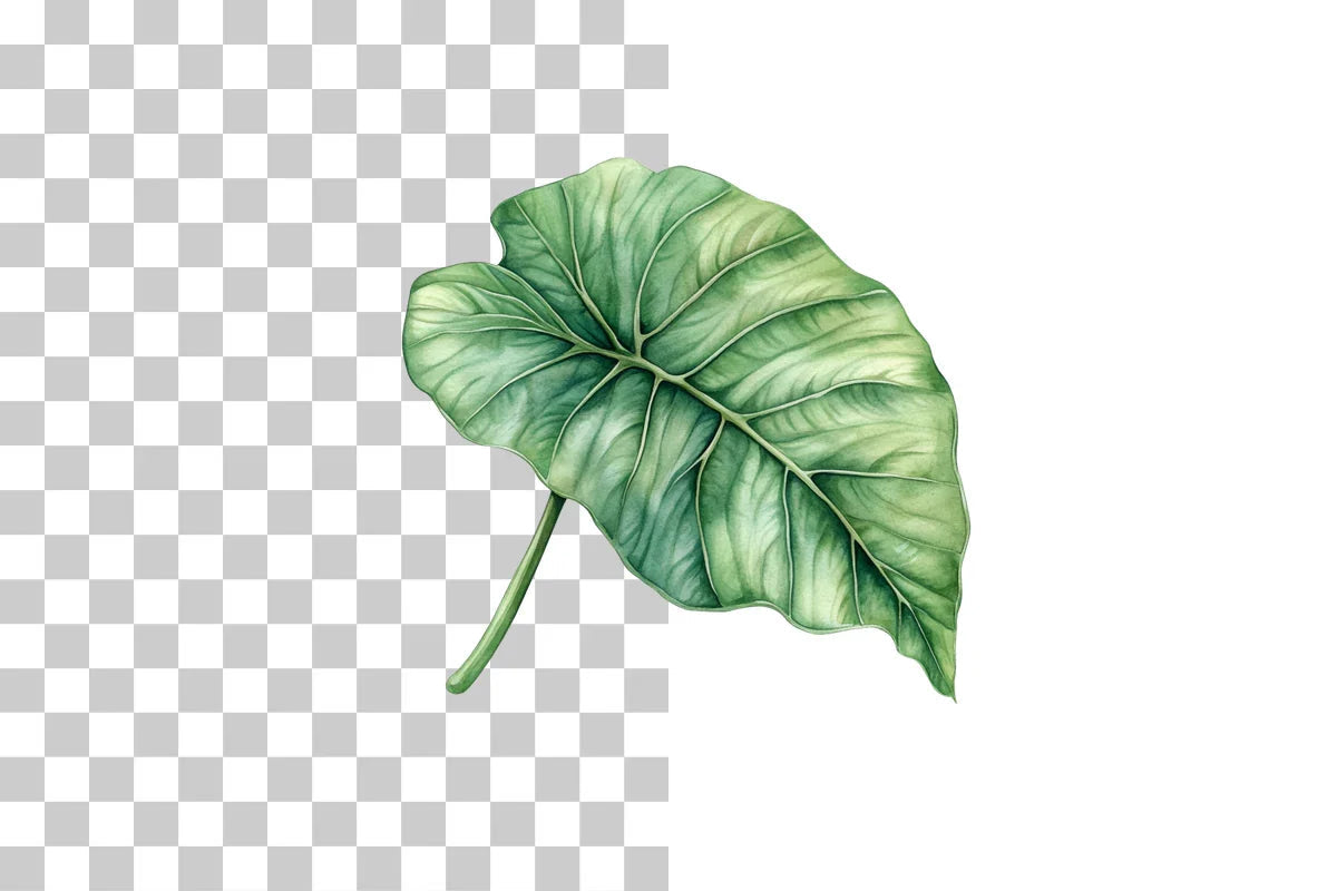Tropical Leaves & Plants Clipart Bundle - CraftNest - Digital Crafting and Art
