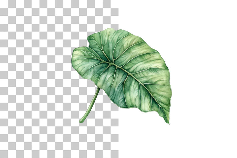Tropical Leaves & Plants Clipart Bundle - CraftNest - Digital Crafting and Art