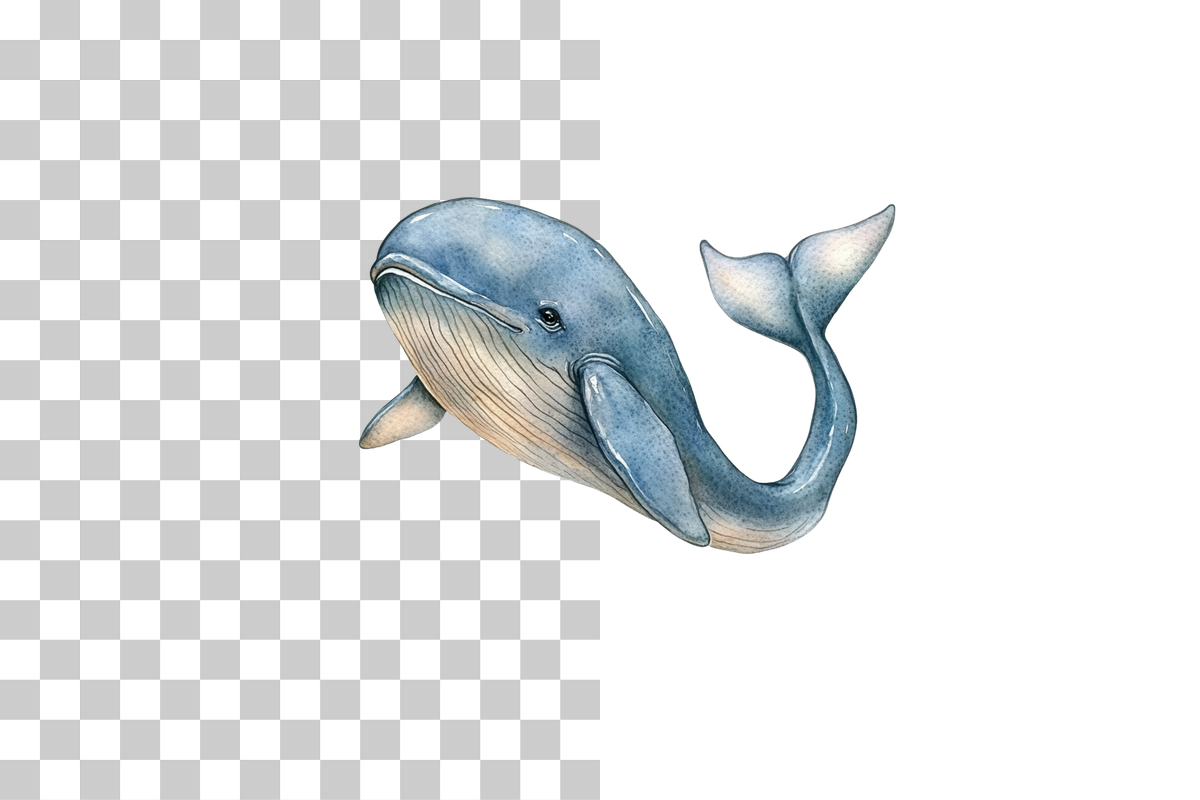 Nursery Baby Whale Clipart Bundle