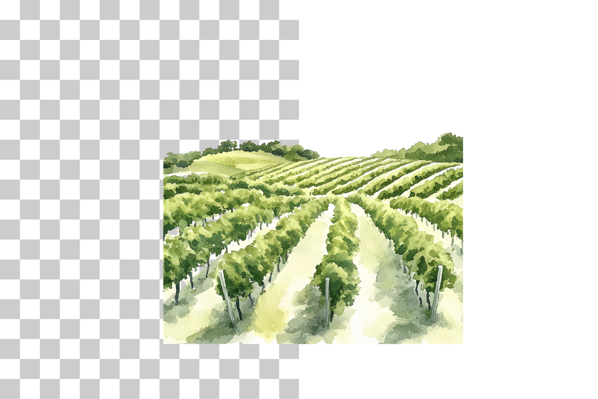 Tuscan Vineyard Landscape Clipart Bundle