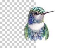 Jeweled Hummingbird Clipart Bundle - CraftNest - Digital Crafting and Art