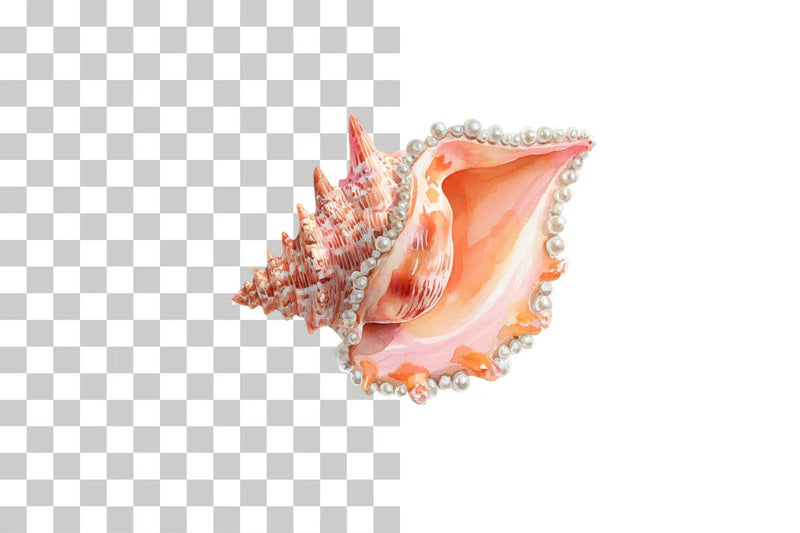 Seashell Clipart Bundle: 390 Unique Designs - CraftNest - Digital Crafting and Art