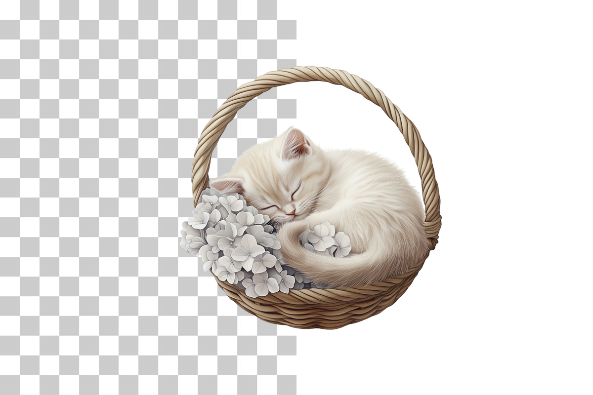 Cozy Animals & Nature Elements Clipart Bundle