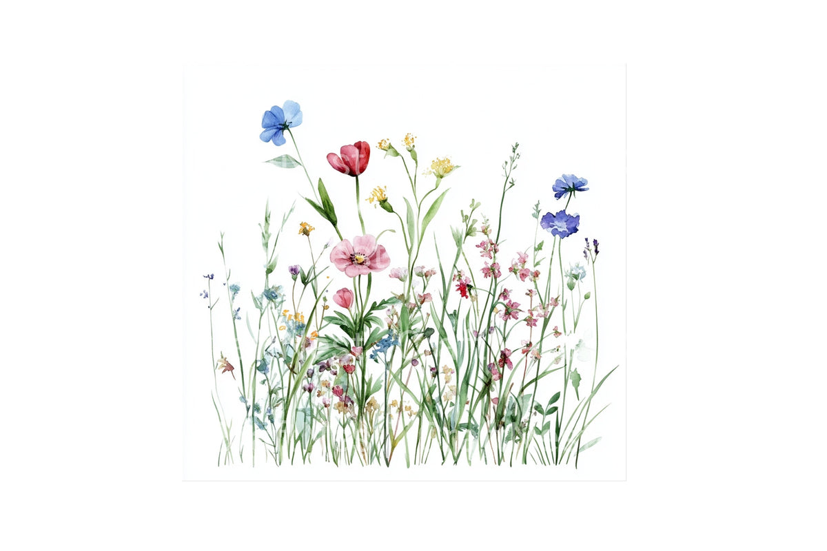 Wildflower Meadow Graphics Clipart Bundle