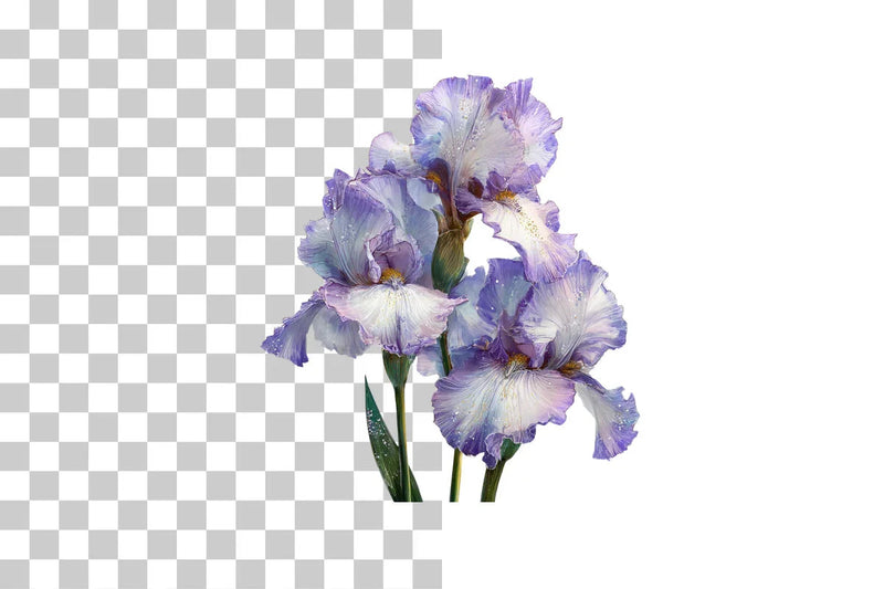 Iris Clipart Bundle: 400 Unique Designs - CraftNest - Digital Crafting and Art