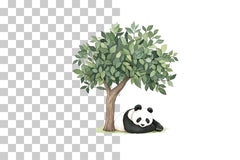 Panda Bear Forest Scenes Clipart Bundle - CraftNest - Digital Crafting and Art