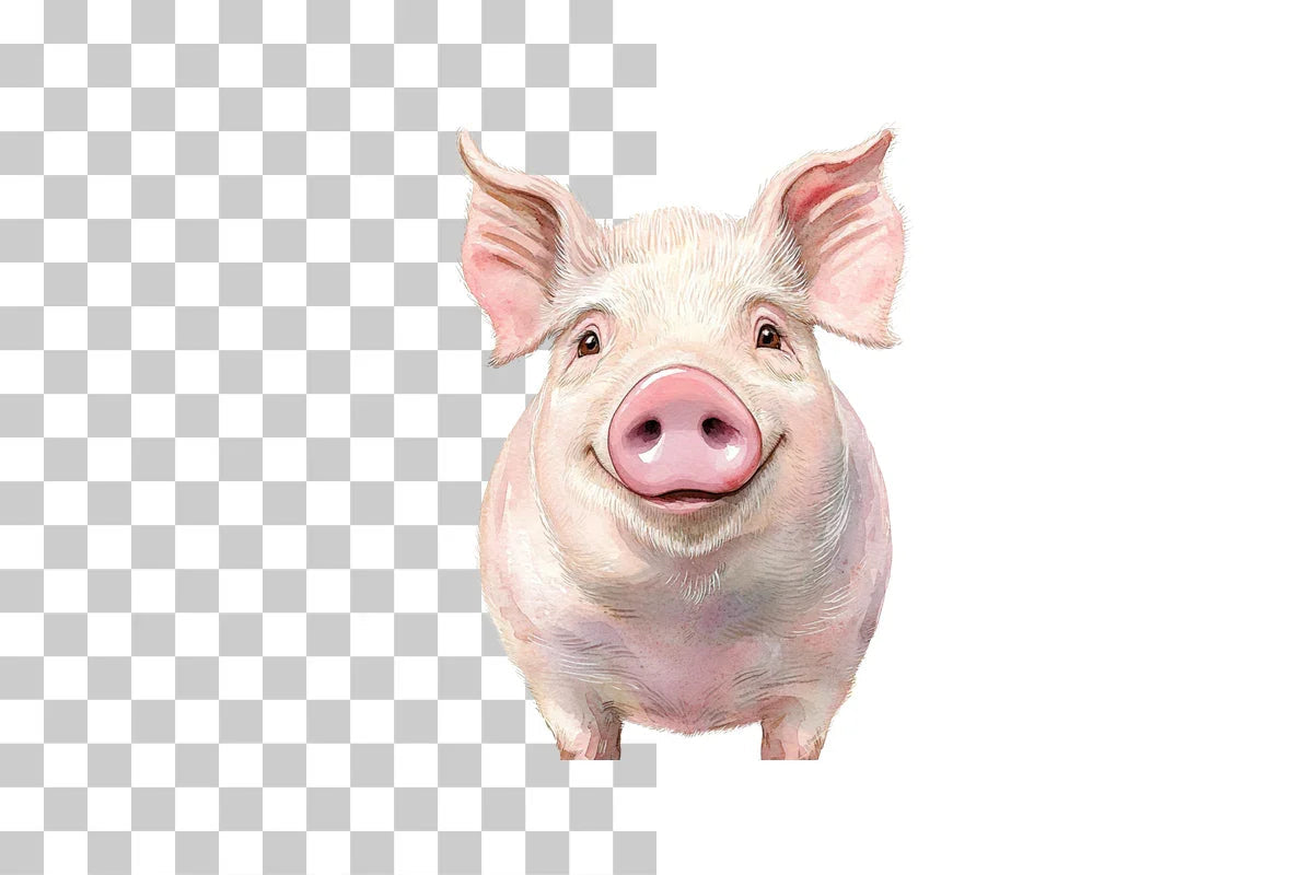 Funny Pig Face Clipart Bundle - CraftNest - Digital Crafting and Art