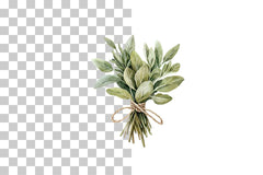 Tied Culinary Herb Clipart Bundle - CraftNest - Digital Crafting and Art
