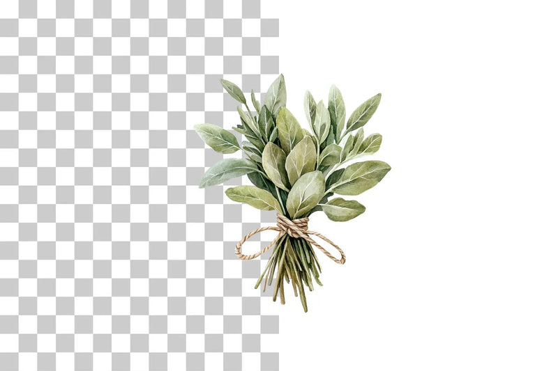 Tied Culinary Herb Clipart Bundle - CraftNest - Digital Crafting and Art