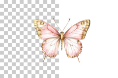 Pink Butterfly Gold Wings Clipart Bundle - CraftNest - Digital Crafting and Art