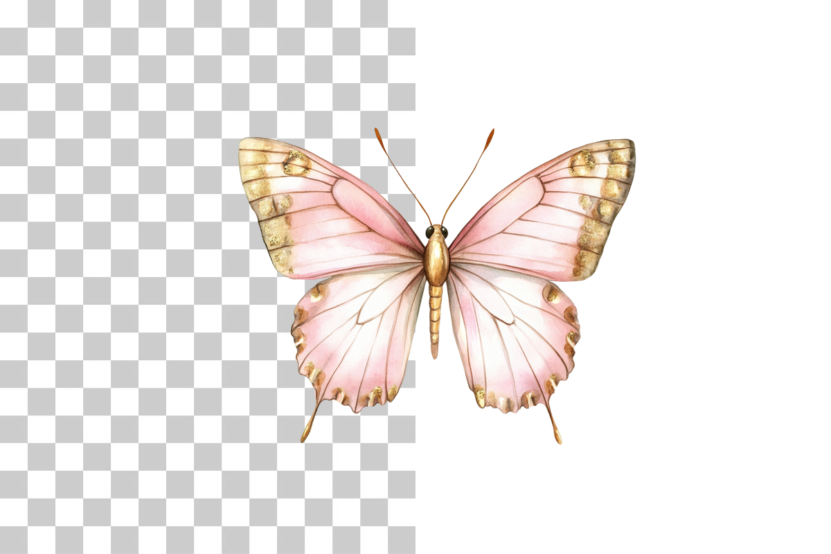 Pink Butterfly Gold Wings Clipart Bundle