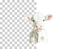 Silly Cartoon Cow Sketch Clipart Bundle - CraftNest - Digital Crafting and Art
