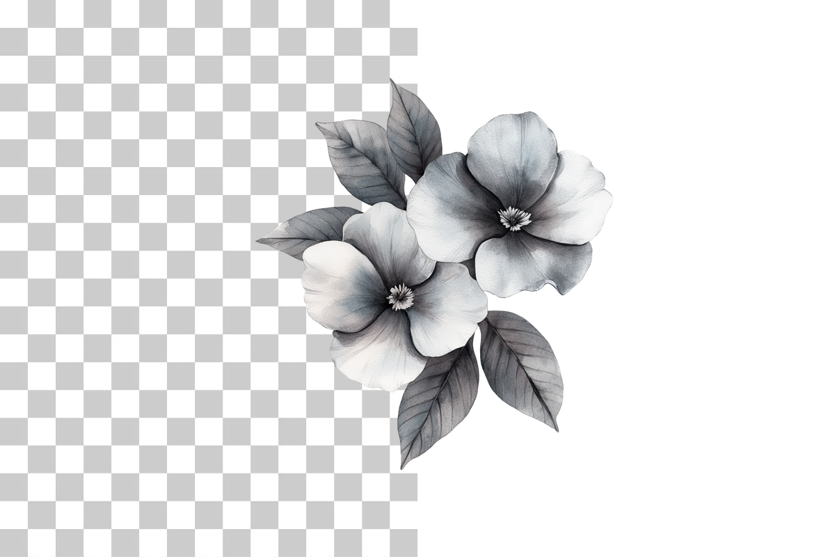 Black and White Floral Art Clipart Bundle