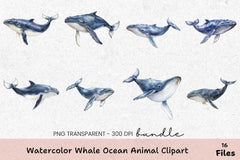 Whale Ocean Animal Clipart Bundle - CraftNest - Digital Crafting and Art