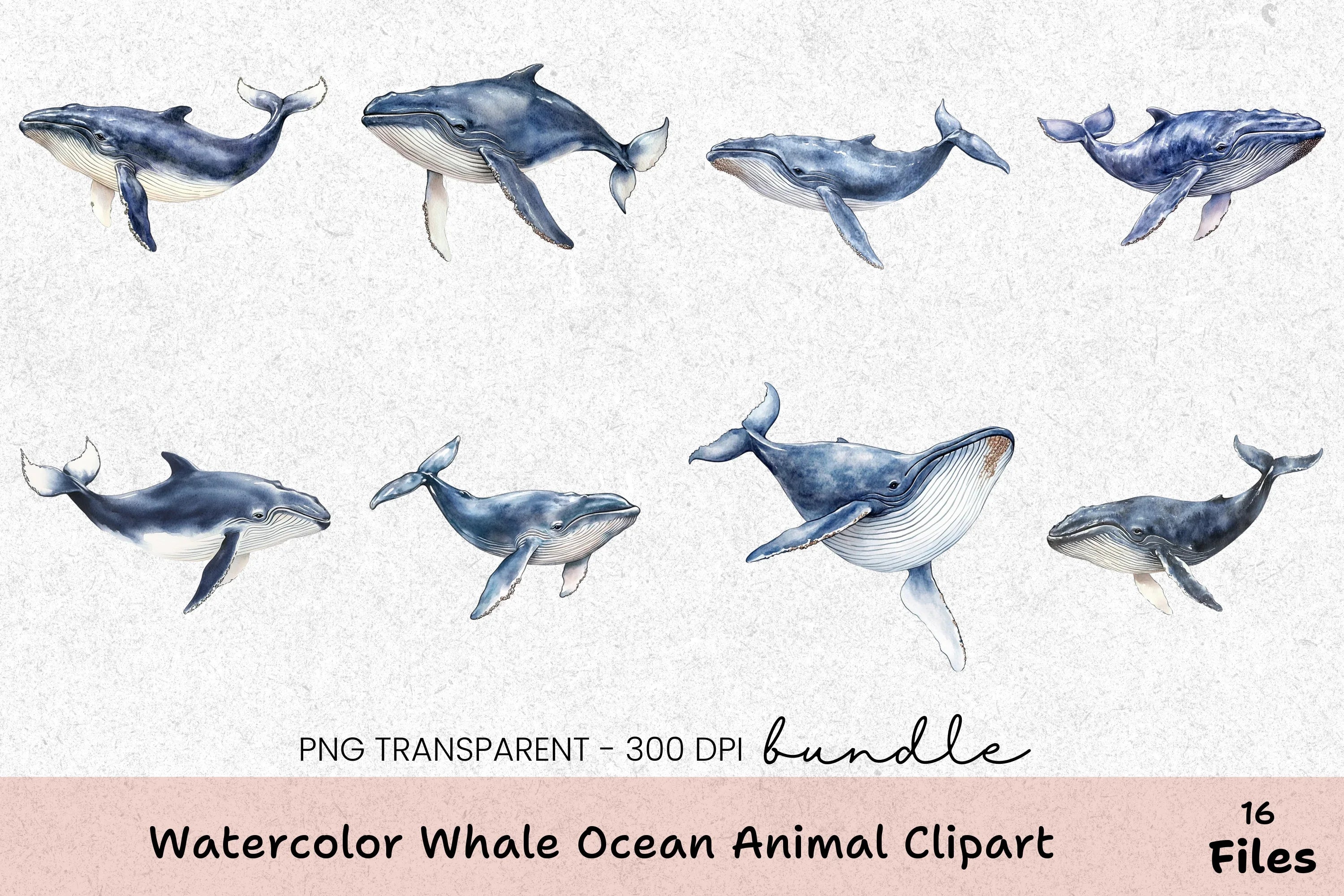 Whale Ocean Animal Clipart Bundle - CraftNest - Digital Crafting and Art