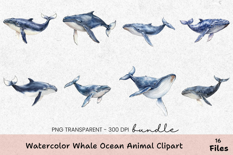 Whale Ocean Animal Clipart Bundle - CraftNest - Digital Crafting and Art