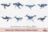Whale Ocean Animal Clipart Bundle