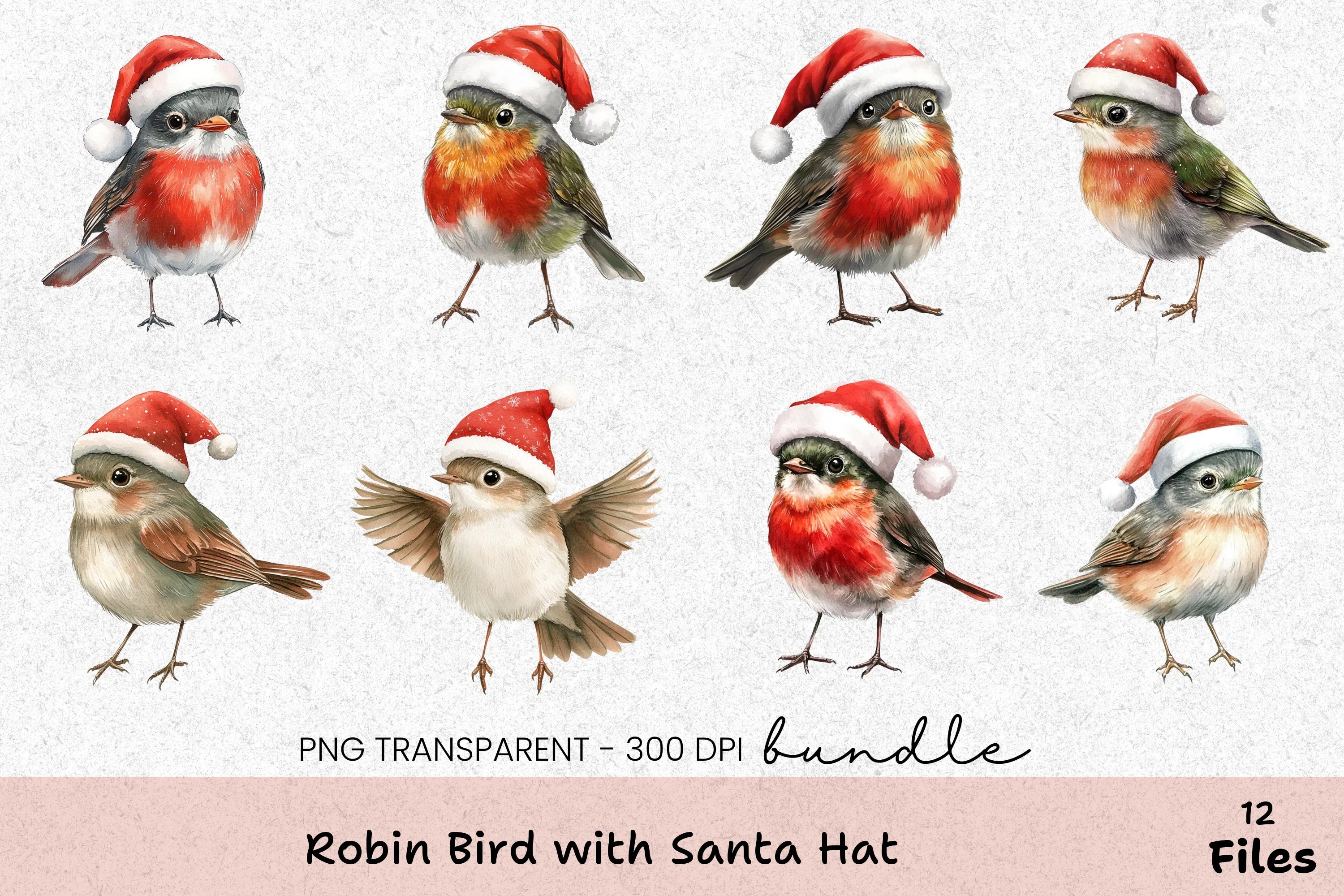 Robin Bird with Santa Hat Clipart Bundle - CraftNest - Digital Crafting and Art