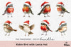 Robin Bird with Santa Hat Clipart Bundle