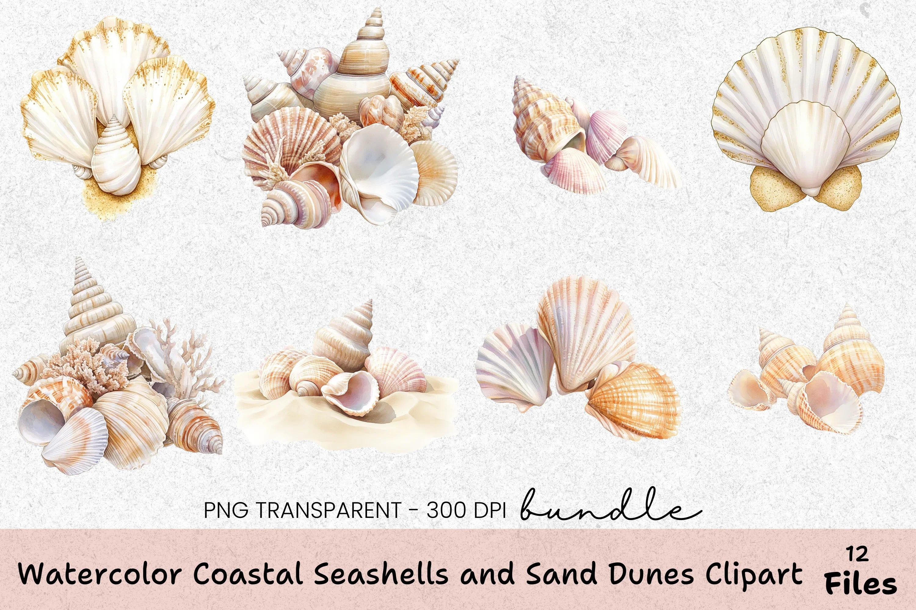 Coastal Seashells and Sand Dunes Clipart Bundle - CraftNest - Digital Crafting and Art