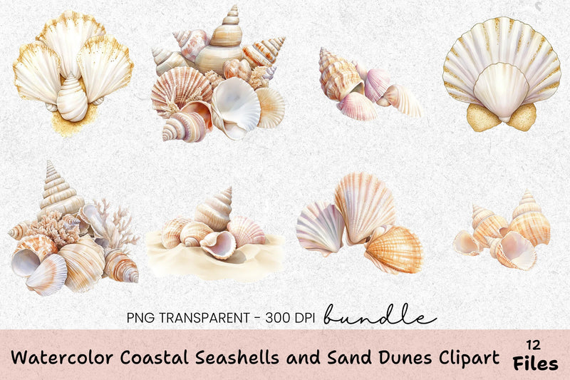 Coastal Seashells and Sand Dunes Clipart Bundle - CraftNest - Digital Crafting and Art