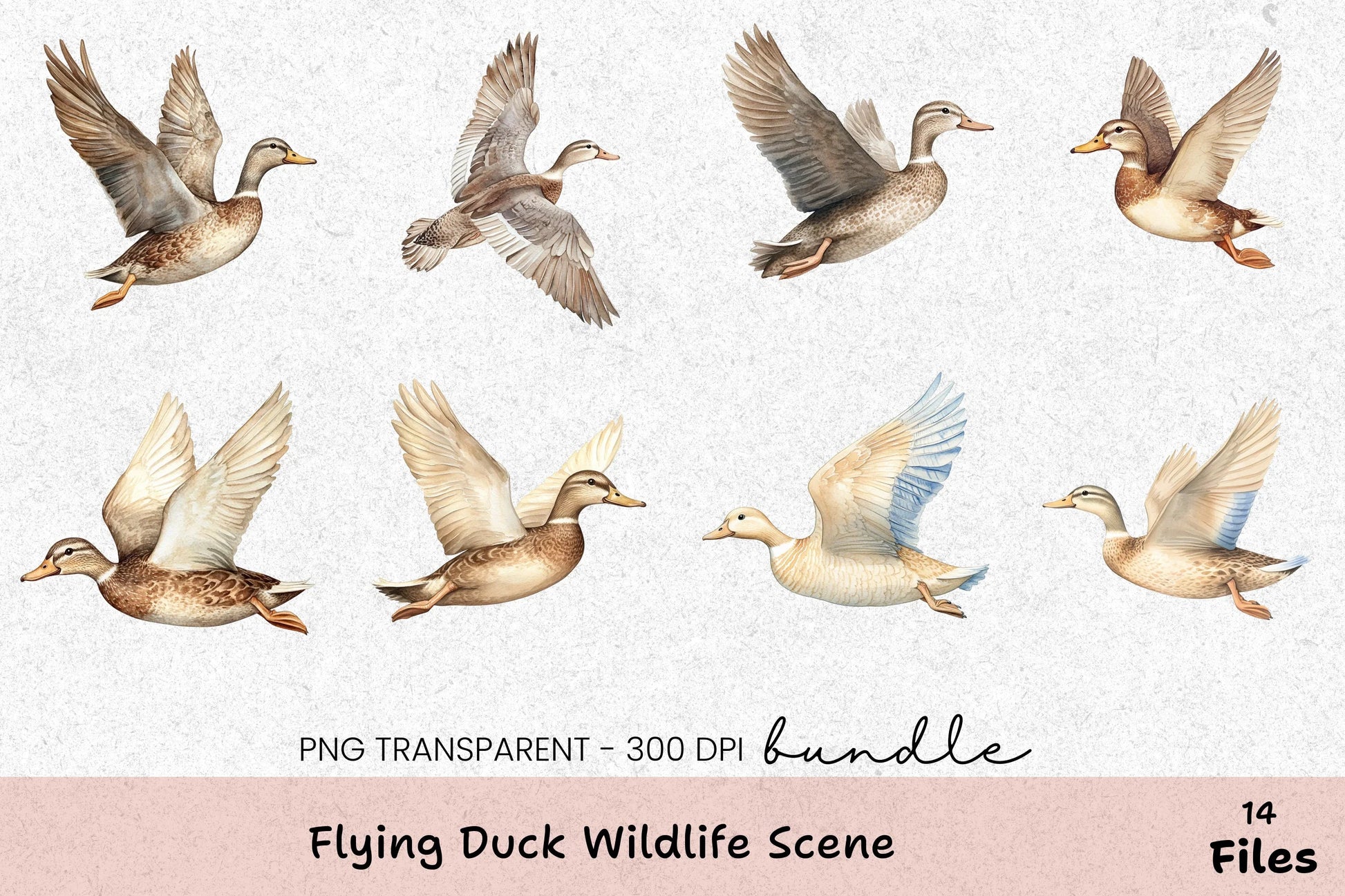 Flying Duck Wildlife Scene Clipart Bundle - CraftNest - Digital Crafting and Art