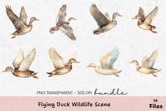 Flying Duck Wildlife Scene Clipart Bundle - CraftNest - Digital Crafting and Art