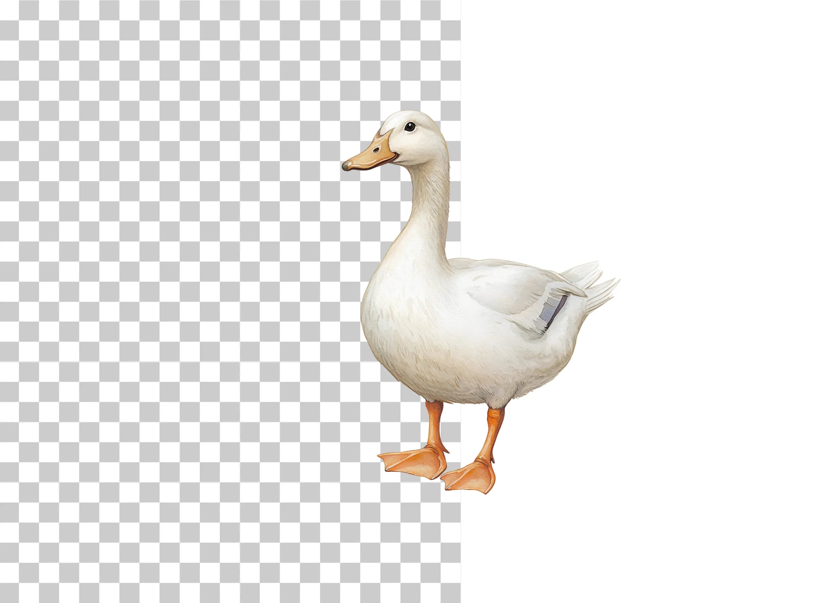 White Farm Duck Clipart Bundle - CraftNest - Digital Crafting and Art