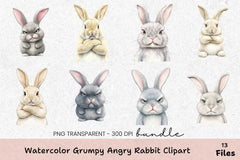 Grumpy Angry Rabbit Clipart Bundle - CraftNest - Digital Crafting and Art