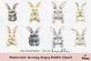 Grumpy Angry Rabbit Clipart Bundle