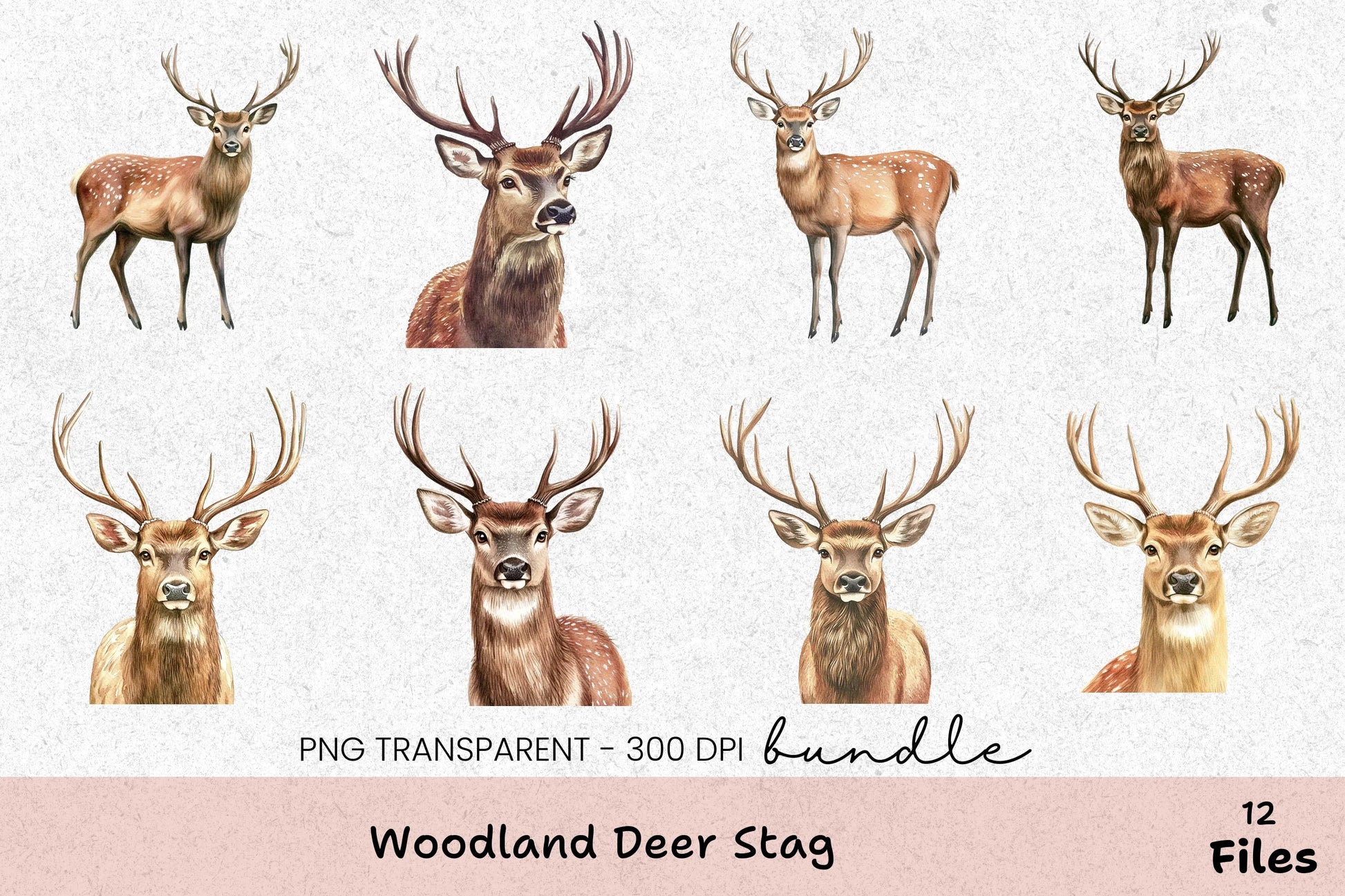 Woodland Deer Stag Clipart Bundle - CraftNest - Digital Crafting and Art
