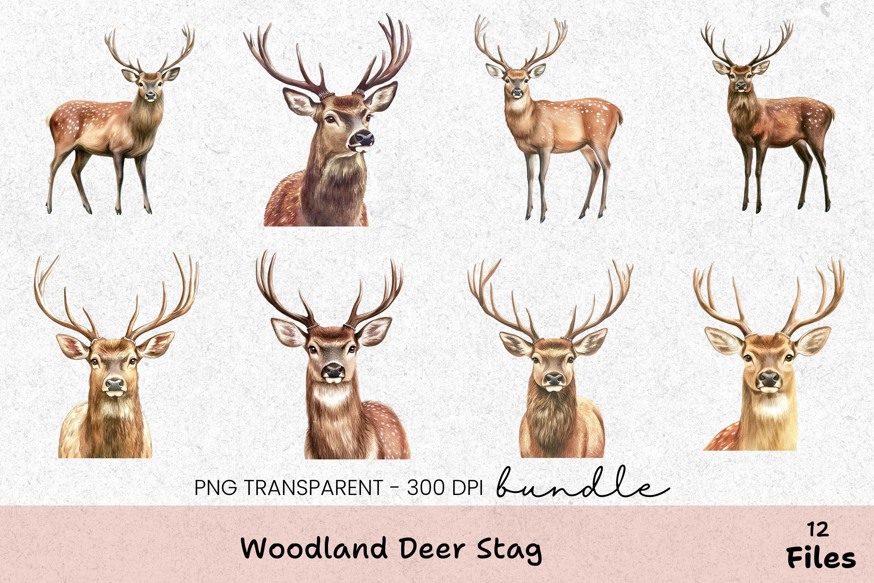 Woodland Deer Stag Clipart Bundle - CraftNest - Digital Crafting and Art