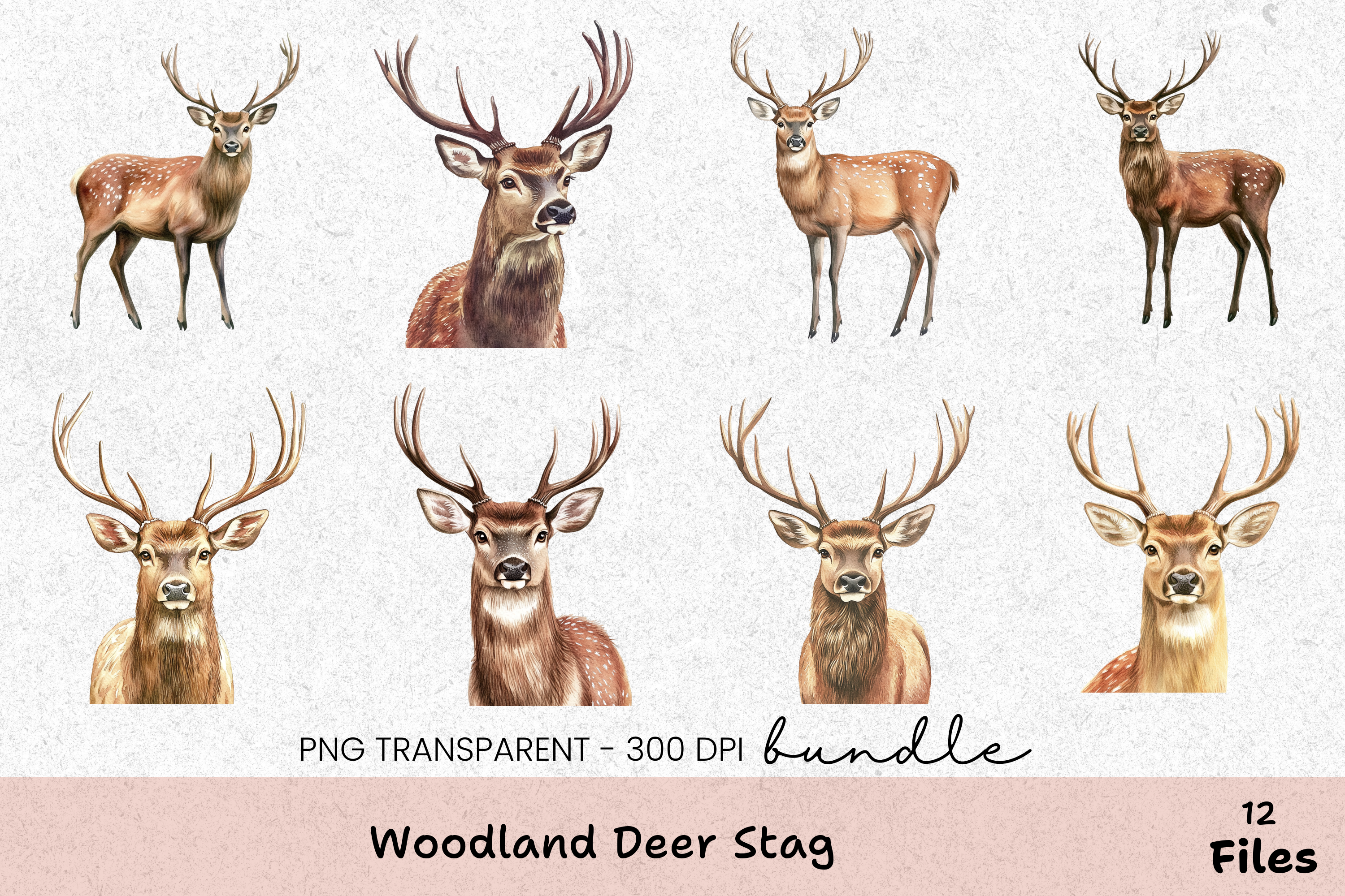 Woodland Deer Stag Clipart Bundle