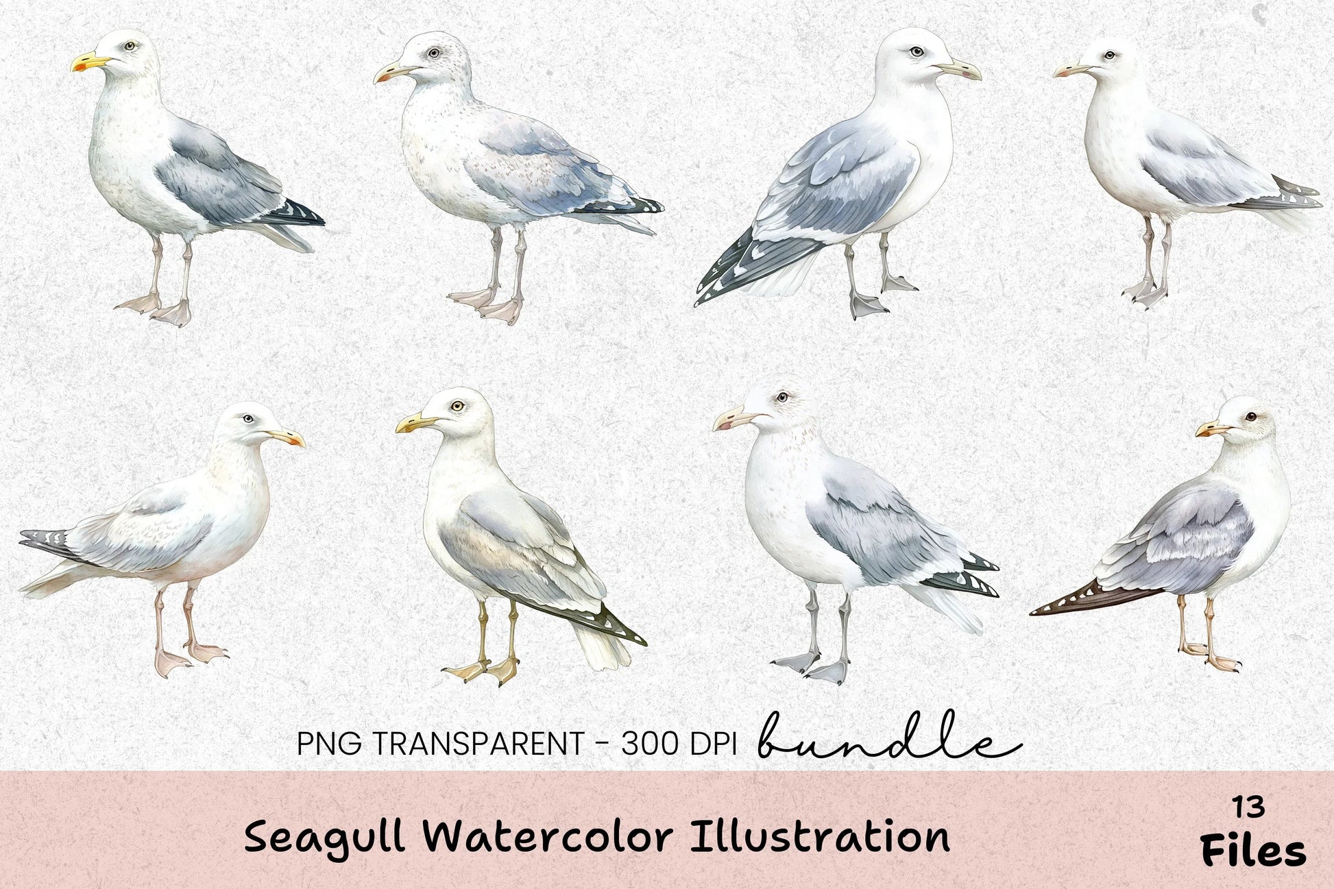 Seagull Illustration Clipart Bundle - CraftNest - Digital Crafting and Art