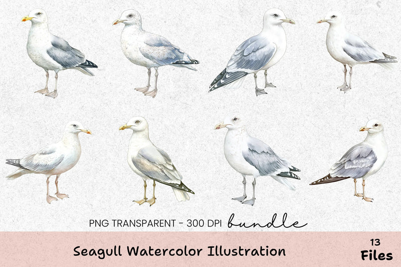 Seagull Illustration Clipart Bundle - CraftNest - Digital Crafting and Art