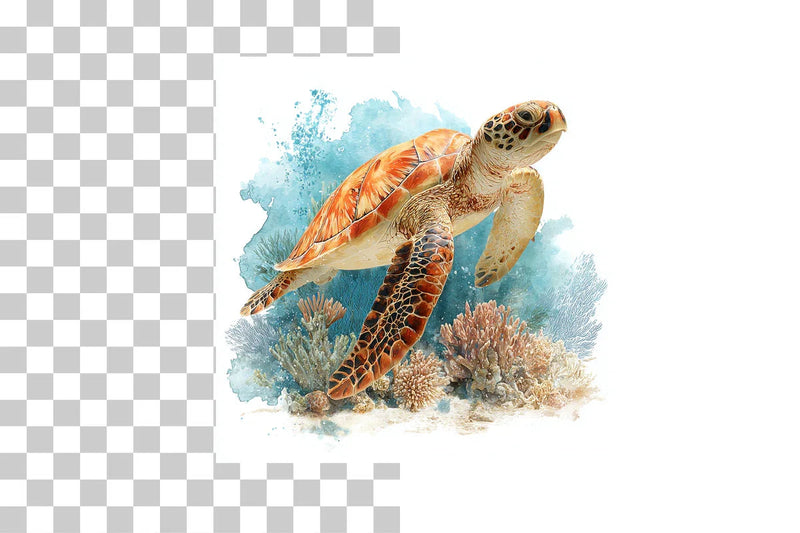 Seaside Pages Clipart Bundle - CraftNest - Digital Crafting and Art