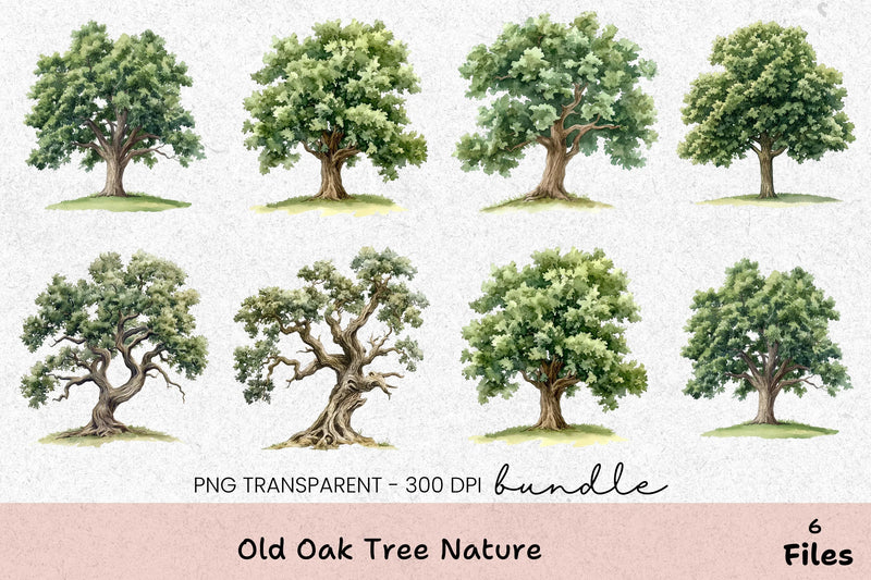 Old Oak Tree Nature Clipart Bundle - CraftNest - Digital Crafting and Art