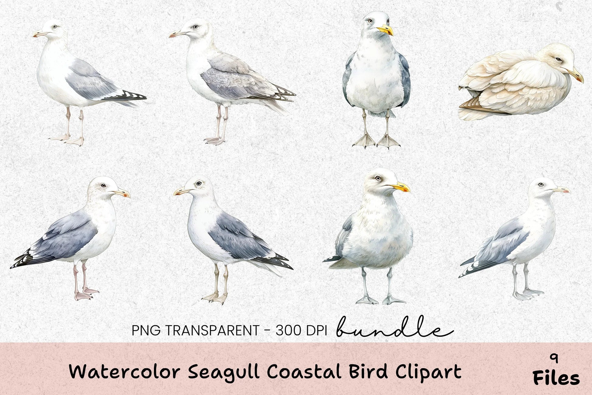Seagull Coastal Bird Clipart Bundle - CraftNest - Digital Crafting and Art