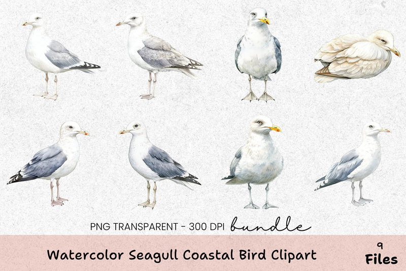 Seagull Coastal Bird Clipart Bundle - CraftNest - Digital Crafting and Art