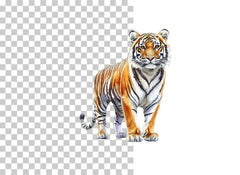 Vibrant Tiger Splatter Clipart Bundle - CraftNest - Digital Crafting and Art