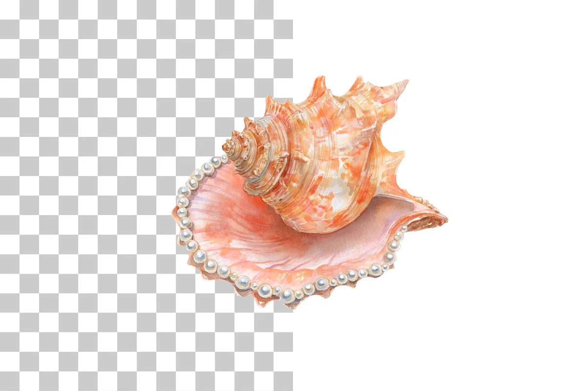 Seashell Clipart Bundle: 390 Unique Designs - CraftNest - Digital Crafting and Art