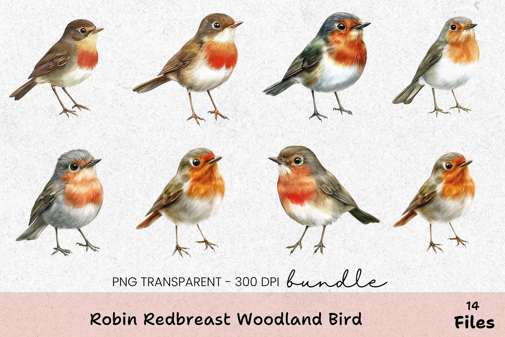 Robin Redbreast Woodland Bird Clipart Bundle - CraftNest - Digital Crafting and Art