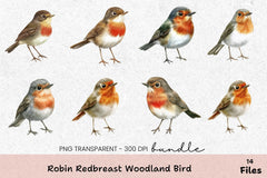 Robin Redbreast Woodland Bird Clipart Bundle - CraftNest - Digital Crafting and Art