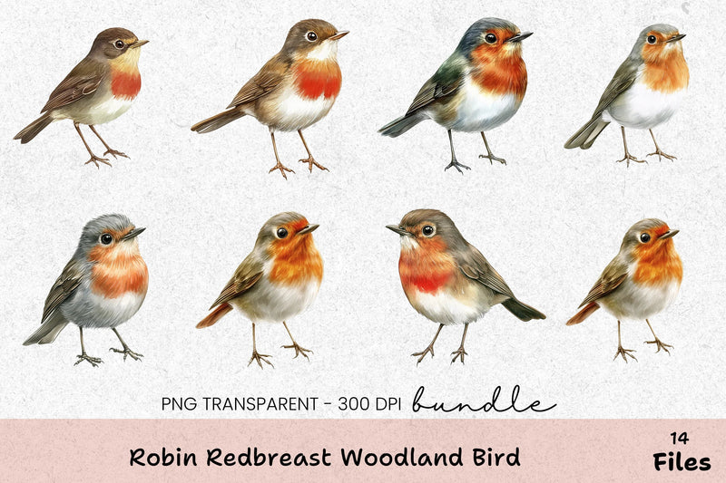 Robin Redbreast Woodland Bird Clipart Bundle - CraftNest - Digital Crafting and Art