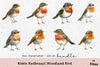 Robin Redbreast Woodland Bird Clipart Bundle
